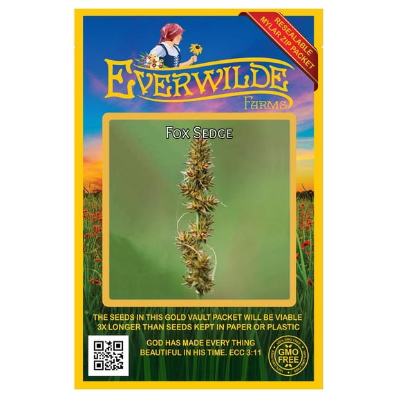 Everwilde Farms - 1000 Fox Sedge Native Grass Seeds - Gold Vault Jumbo Bulk Seed Packet