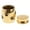Dog Paw, variant on lionlar Waterproof Stainless Steel Cremation Urn Memorial Jar Ash Casket - Always in Always in My Heat