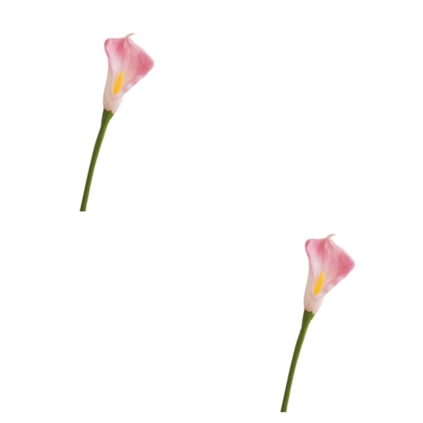 Ramo de alcatraces artificiales Naiovety 20 piezas Rosa para bodas y decoración del hogar