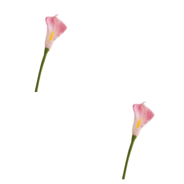 Matsuzay 20 unids/set aspecto realista Ramos de alcatraces no tóxicos para madres y amantes decoración de fiesta rosa Rosa 2Conjunto