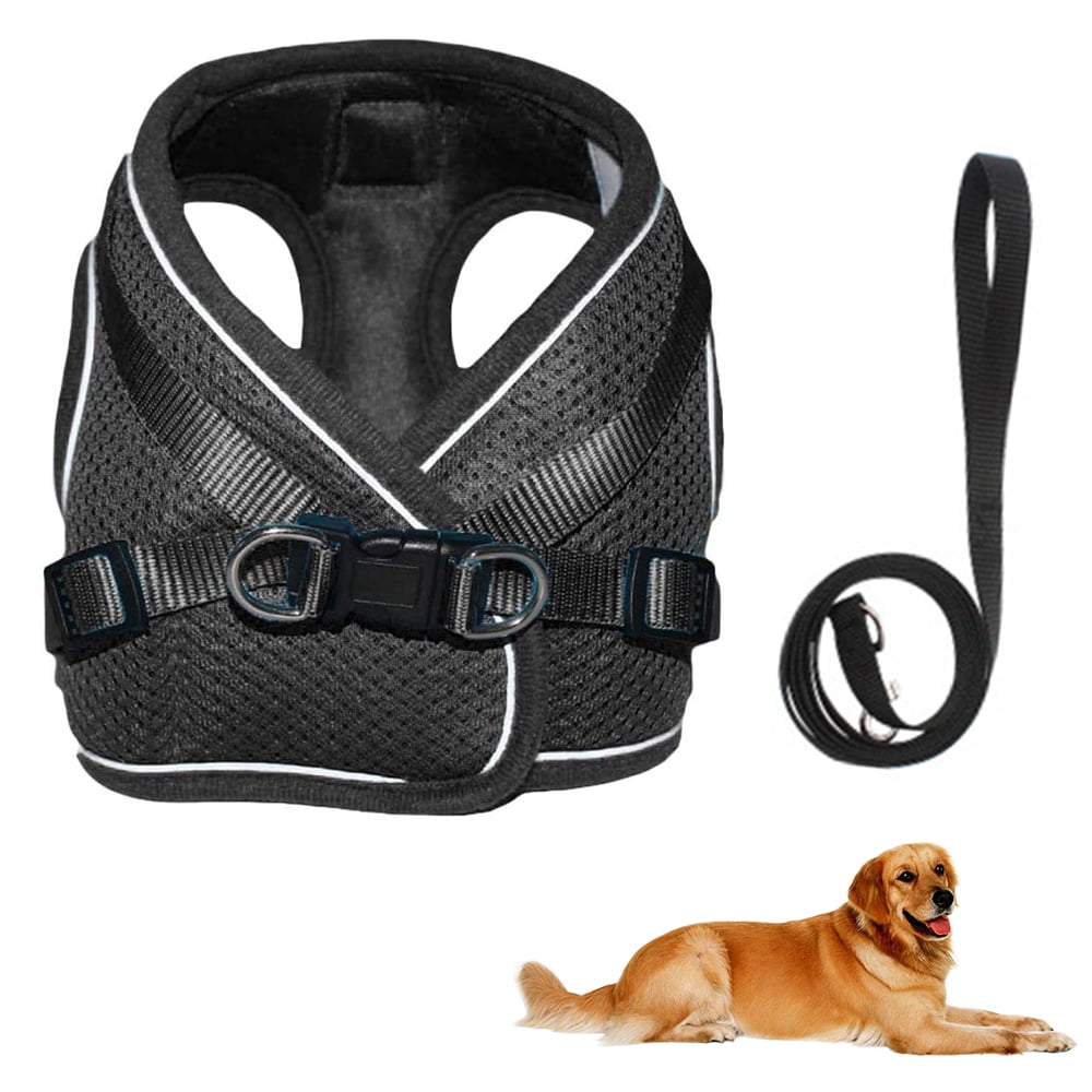 Dog harnesses for medium dogs online