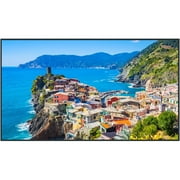 Panasonic TH-50EQ2W 50 Class 4K Digital Display