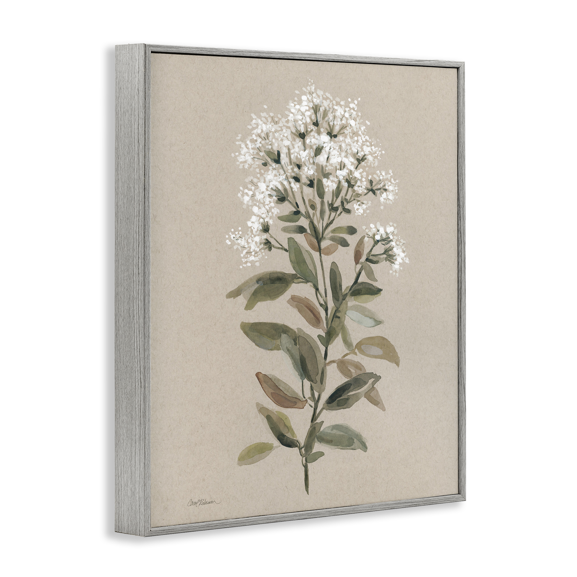 Stupell Industries Blooming Watercolor Flower Botanical & Floral Painting Gray Framed Art Print Wall Art, 11 x 14