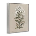 thumbnail image 4 of Stupell Industries Blooming Watercolor Flower Botanical & Floral Painting Gray Framed Art Print Wall Art, 11 x 14, 4 of 10