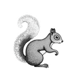 thumbnail image 6 of cartoon Squirrel Stickers Stickers, Waterproof Squirrel Stickers Sticker for Water Bottle Laptop Phone Cases Planner Skateboard Luggage Helmet Party Favor Decor, Ideal for Adults Teens Teacher Rewards, 6 of 9