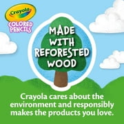 (3 pack) Crayola Colors of Kindness Colored Pencils, School Supplies, 12 Ct, Beginner Child