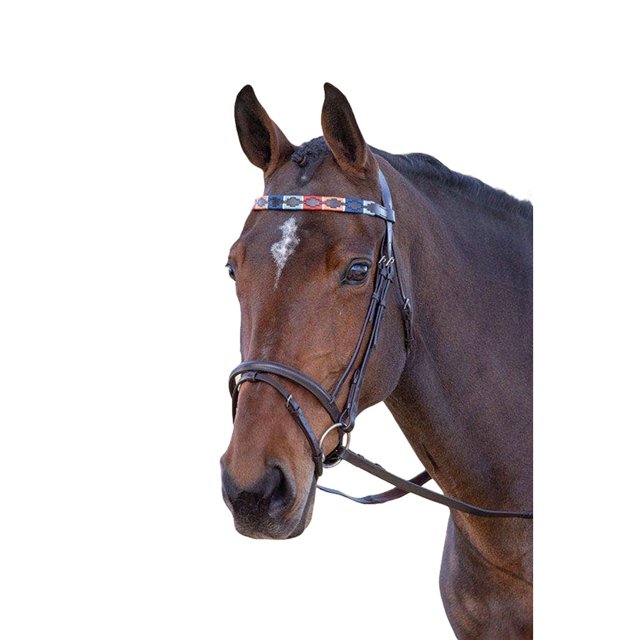 Blenheim - Frontalera para Caballo de Cuero Polo (Turquesa, Rojo, Naranja, Azul)