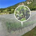 thumbnail image 4 of Destyer PE Lightweight Garden Fine Mesh Netting Versatile Protection For Gardens Made Of PE Garden Netting No.3, 4 of 6