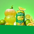 thumbnail image 3 of Humm Kombucha, Lemon Lime, 24 Pack, 12 oz Cans, 3 of 6