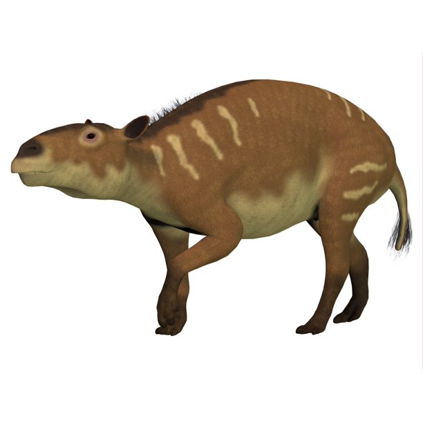 Eurohippus is the herbivorous ancestor of the horse that lived during