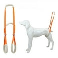 thumbnail image 4 of POINTERTECK Pet Dog Lift Harness Pet Rear Legs Support Aid Sling For Elderly Dog With Poor Stability  Back Leg Hip Disabled Joint Injury, 4 of 6