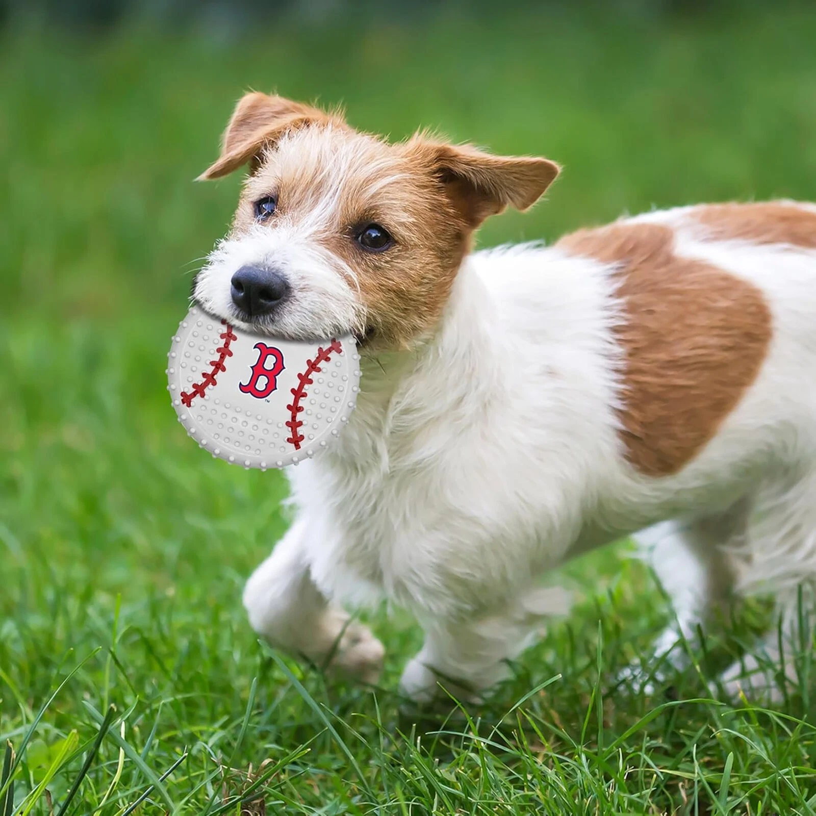 Pets First MLB Hard-Nylon Baseball Flavored Dog Chew Toys for Aggressive Chewers