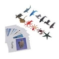 thumbnail image 3 of 2x Tarjetas Montessori de , modelo de oceánicos en miniatura con tarjetas , ayudas para y el aprendizaje Hugo Juguete de los animales de la educación, 3 of 8