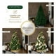 thumbnail image 4 of Árbol de Navidad Plegable Pino Navideño Frondoso, Cedro del Himalaya Esquimal (Verde, 2.20 m), 4 of 6