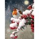 thumbnail image 1 of HOMFUN-pintura de diamante redondo/cuadrado 5D DIY "Árbol de nieve de pájaro de Navidad", bordado de punto de cruz, decoración de diamantes de imitación completa, 1 of 4