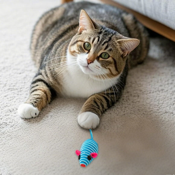 Set de juguetes de plumas para gatos: interactivos, de tela resistente, a prueba de mordiscos y arañazos, favorecen la higiene bucal; para gatos, juego en interiores, todas las razas