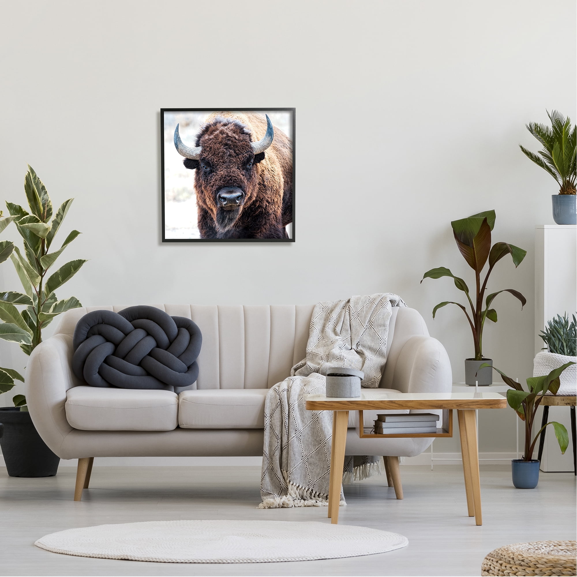 Stupell Industries American Bison Photography Animals & Insects Photography Black Framed Art Print Wall Art, 24 x 24