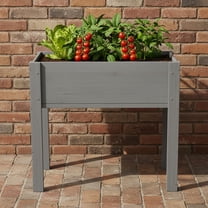 Elevated Wooden Raised Garden Bed With Legs in a Natural Finish 31x31x16 Inch Planter Box for Outdoor Plants and Veggies