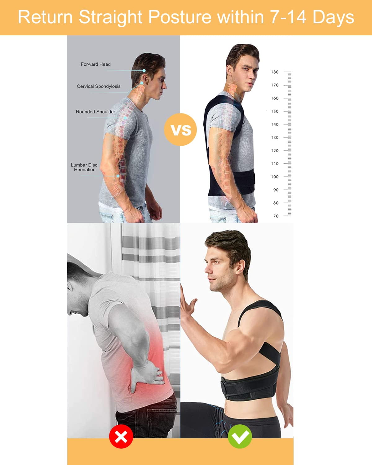 WorkMod Better Posture Contoured Lumbar Back Support