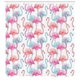 thumbnail image 2 of Watercolor Shower Curtain, Flamingos in Many Colors Hand Drawn Bird Exotic Animals Illustration, Fabric Bathroom Set with Hooks, 69W X 84L Inches Extra Long, Baby Blue Salmon Pink, by Ambesonne, 2 of 2