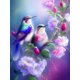thumbnail image 1 of Juego de pintura de diamante 5D para adultos y niños de 11.8 x 15.7 in, diseño de pájaro de ramita de flor de cerezo 2 #, manualidades de bordado de diamantes, juego de pintura de diamantes de imitaci, 1 of 5