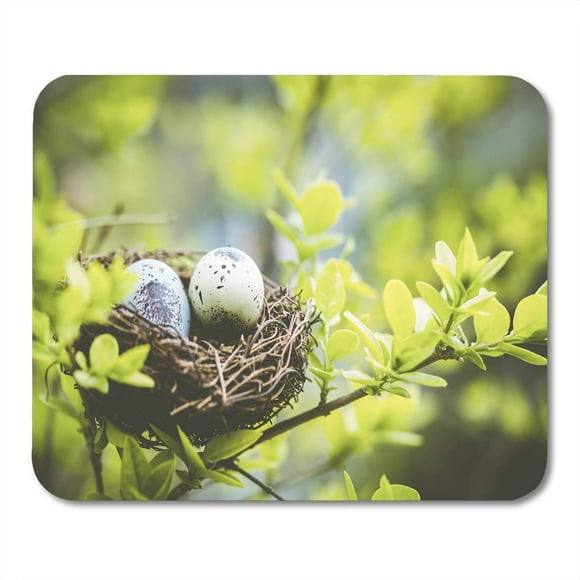 POGLIP Green Spring Bird Nest on Branch Easter Eggs for Nature Springtime Mousepad Mouse Pad Mouse Mat 9x10 inch