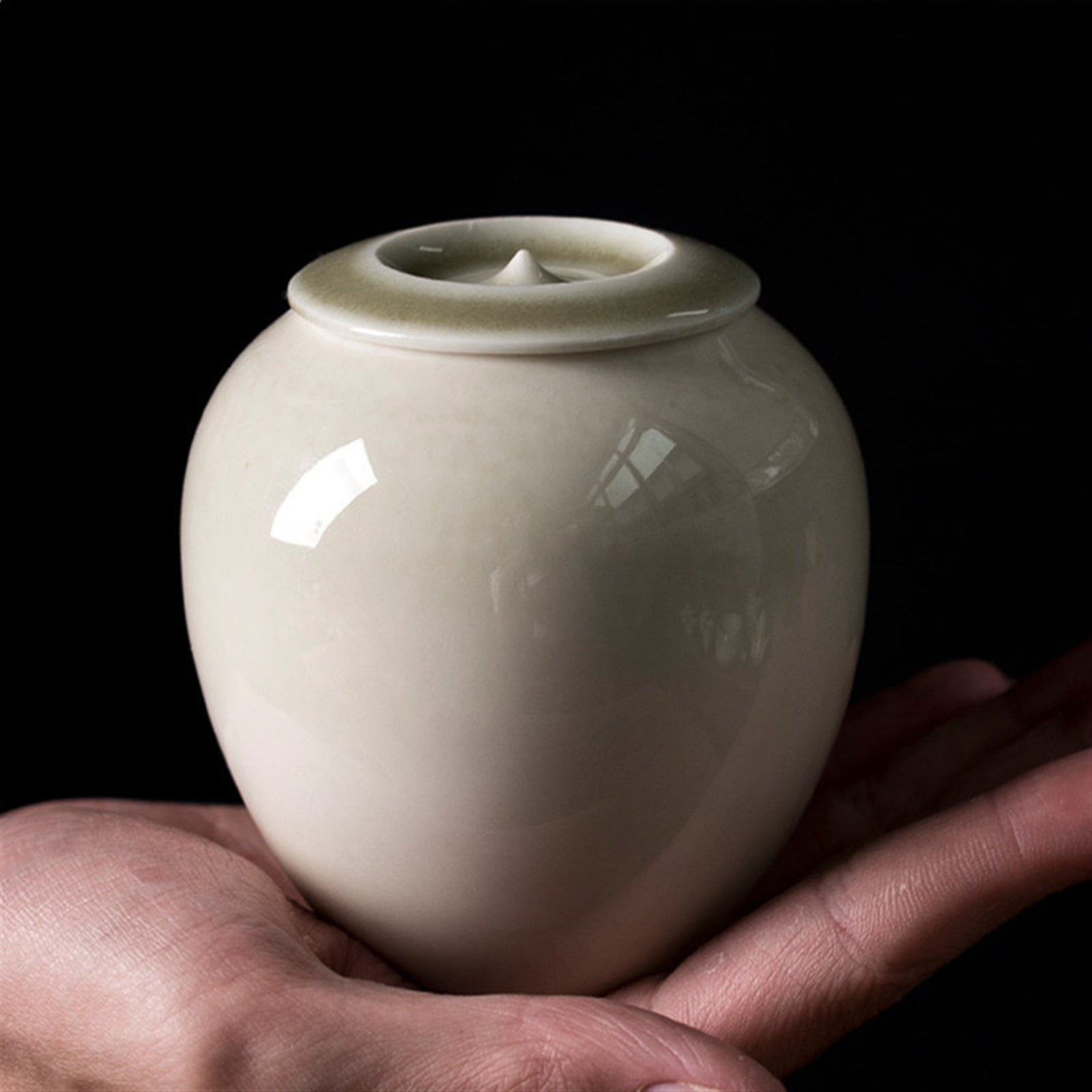 For Dogs Cats Ashes Keepsake Memorial Box Funeral Set Burial Urns For Cremated Remains Ash Vial Adult Funeral Urn Pet Cat And Dog Urn 55993