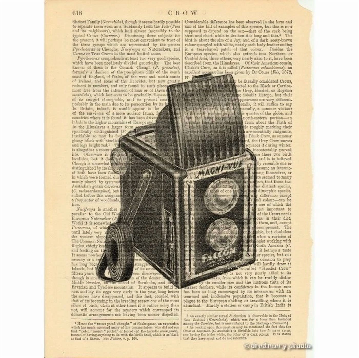 BUTTERFLY- Twin Lens Reflex Camera #2 Art Print On Vintage Book Page Home Office Decor Gift