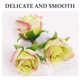 thumbnail image 3 of IDEANATEGRATE 30Ud Cabezas De Rosas Falsas Para Adornos Creativos Con Acabado Exquisito, 3 of 8