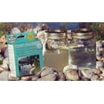 thumbnail image 3 of Applied Polymer Systems 7-93573-04909-4 Pond Zinger, 3 of 3