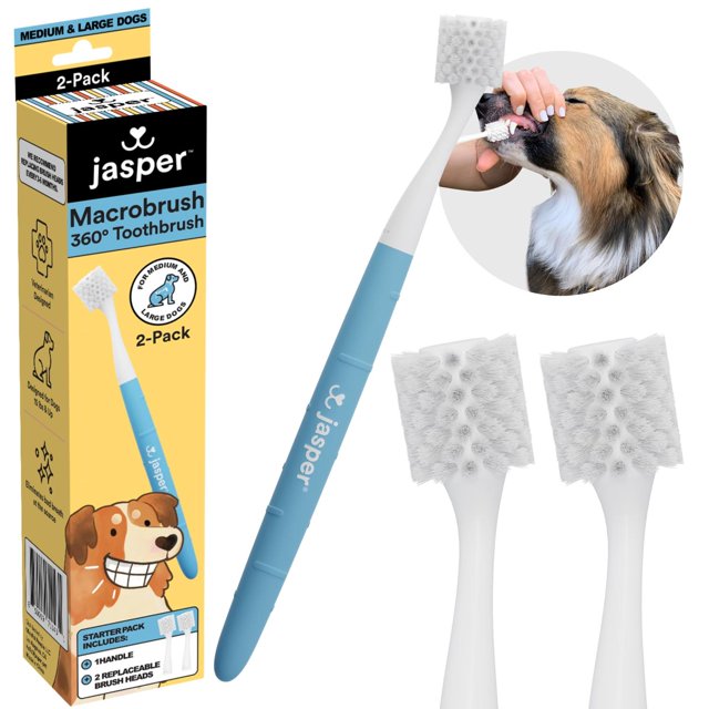 Cepillo de Dientes Jasper Macrobrush 360º Blanco con Mango Antideslizante para Perros Medianos a Gra