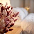 thumbnail image 5 of 60 Pcs Fall Dried Flower Bouquet,17.72 Inch Natural Dried Pampas Grass Fall Flower Bouquets for Autumn Vase Filler | Fall Decorations Bunny Tail Grass for Table Wedding Decor, 5 of 7