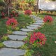 thumbnail image 5 of Decoración de jardín de eucalipto púrpura modelo D color azul cielo A11321 tamaño grande, 5 of 8