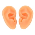 thumbnail image 3 of Modèle d'Oreille Humaine, Structure Claire 2 Pièces, Modèle d'Oreille en Silicone Largement Utilisé pour Médecin, 3 of 8