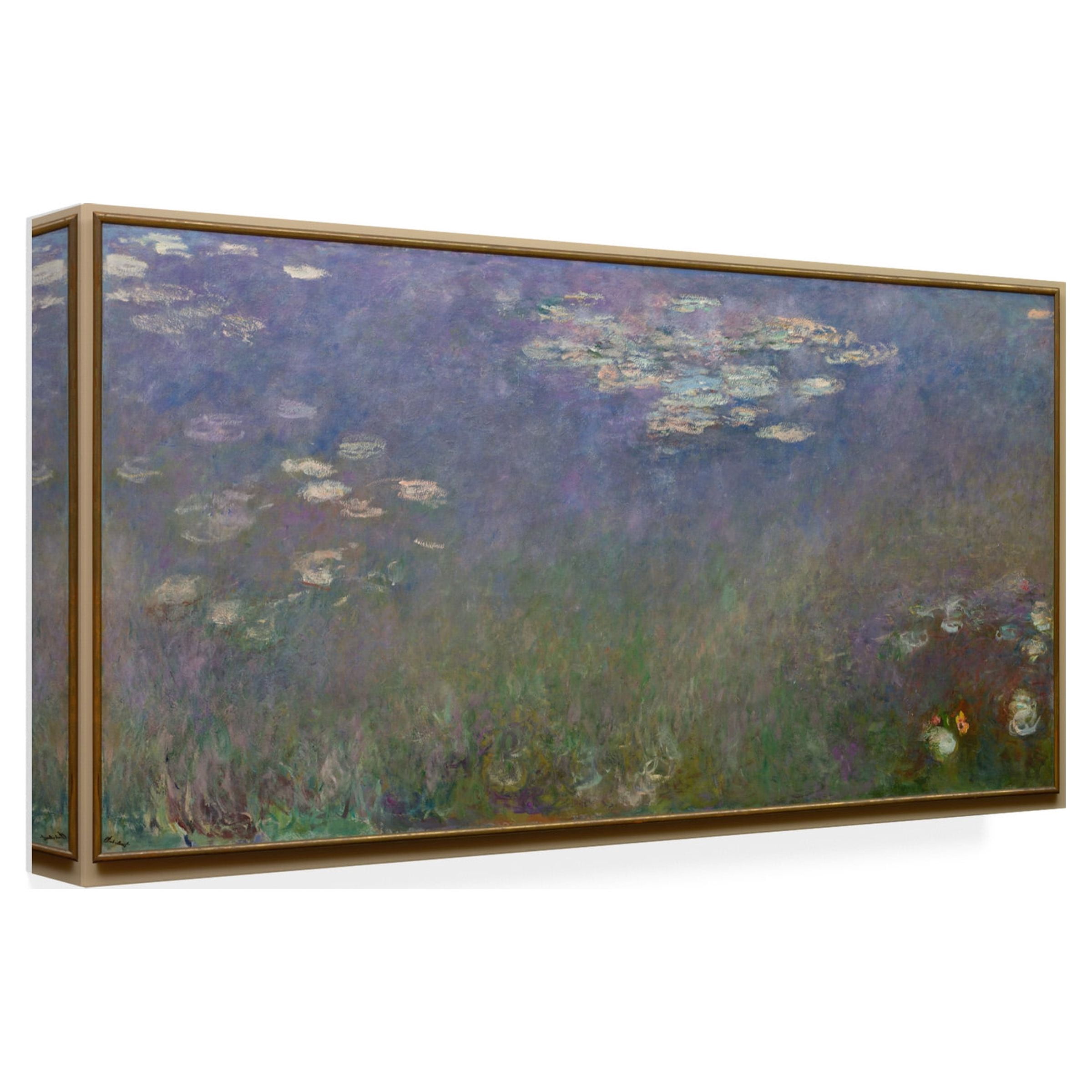 Claude Monet 'Water Lilies Agapanthus' Canvas Art
