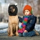 thumbnail image 5 of Orejeras para perros, protección contra el ruido, gorros tejidos para perros, orejas de mascota, cubierta cálida para orejas de perro, gorro de invierno, envoltura para la cabeza de perro, disfraz de, 5 of 5
