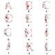 thumbnail image 3 of Inteprter 10 piezas de parches de transferencia de calor del alfabeto, pegatinas de letras inglesas de flores a la moda, apliques, insignia de Artesanía, 3 of 6