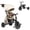 Beige, variant on QPlay 8 in 1 Baby Tricycle Stroller for 10 Months to 6 Years Old, Foldable Toddler Trike with Push Handle, Canopy, Storage Bag, Triple Footrest
