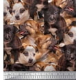 thumbnail image 1 of Soimoi Modal Satin Fabric Puppies Scene Print Sewing Fabric Yard 42 Inch Wide, 1 of 1