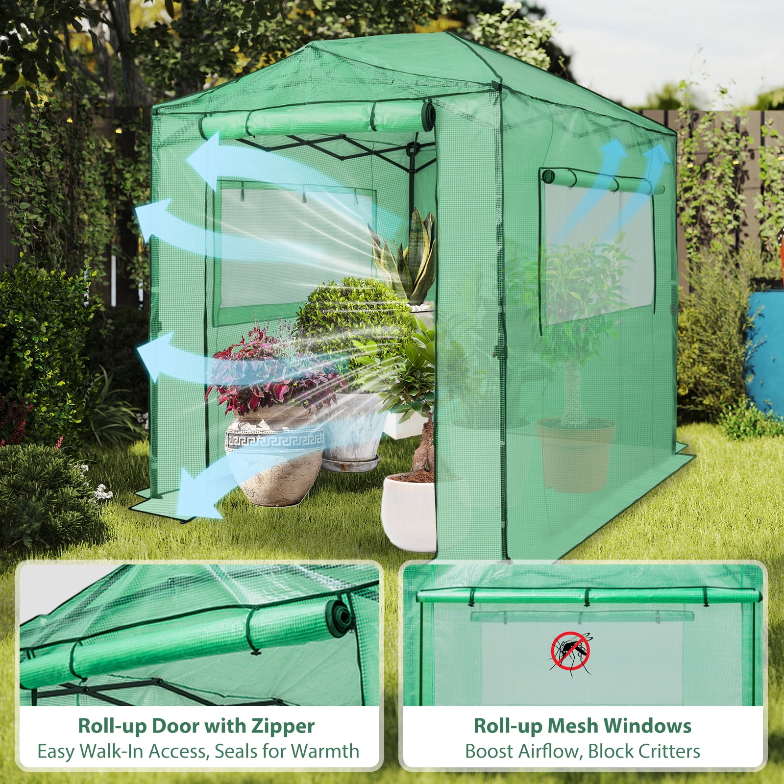 EAGLE PEAK 8'x6' Portable Walk-in Greenhouse Instant Pop-up Fast Setup Indoor Outdoor Plant Gardening Greenhouse , Front and Rear Roll-up Zipper Entry Doors and 2 Large Roll-up Side Windows