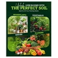 thumbnail image 5 of Happy Frog Potting Soil, 12qt – for Indoor/Outdoor Container Plants, Improves Root Efficiency, pH Adjusted for Optimal Nutrient Uptake – Contains Microbes and Humic Acids (Pack of 4), 5 of 6