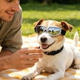 thumbnail image 4 of Gytml Dog Cat Sunglasses Uv Protection, Lightweight Adjustable Strap Pet Goggles, Windproof Eye Care Essential Outdoor Accessory For Small Medium Dogs & Cats(Silver-12X3.5cm), 4 of 4