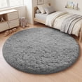thumbnail image 2 of Nefoso 4ft x 4ft Round Area Rug, Soft Fluffy Circle Rug Shag Round Rugs for Living Room Bedroom Indoor Home Decor, Gray, 2 of 11