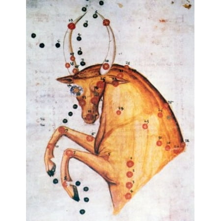 Taurus or Bull Signs of the Zodiac by artist unknown (from Atlas Celeste De Strabov) Canvas Art - (18 x 24)