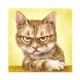 thumbnail image 2 of Cuadros Decorativos 5D diamante pintura DIY lindo gato completo redondo taladro mosaico imagen decoración del hogar Ndcxsfigh Nuevos Originales, 2 of 5