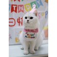 thumbnail image 3 of Bandana para mascotas con texto en inglés "Happy Birthday" para gatos y perros, bufandas y gorro de fiesta, miniperro, accesorios para mascotas, rosa A, 3 of 5