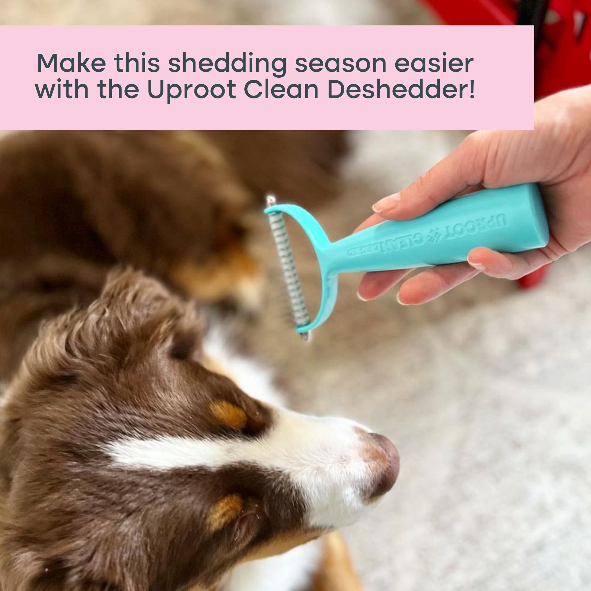 Bristly incredible brushing stick reviews