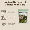 thumbnail image 3 of Quality Growers - The Moss Collection Variety Pack - Natural Decorative Moss - Crafts, Home Decor, Art, Design & DIY Projects - Non-Toxic - Made in USA - Original, Small, 2-Pack, 3 of 7