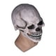 thumbnail image 5 of Máscara de calavera de cabeza completa de cabeza completa realista de Halloween con mandíbula móvil Casco de esqueleto de látex aterrador para accesorios de fiesta de cosplay ANGGREK  Otros, 5 of 8