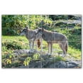 thumbnail image 1 of Picture-Tiles.com: Wolf Ceramic Tile Wall Mural WAL501236-64M. 36"W x 24"H using (24) 6" x 6" Ceramic Tiles-Satin Finish, 1 of 3